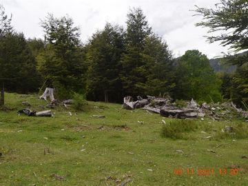 Sitio en Venta en Rio Panqui