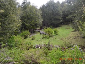 Sitio en Venta en Rio Panqui