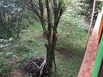 FINCA DE RECREO ASEQUIBLE A 3 MINUTOS DESDE BARBOSA ANTIOQUIA COLOMBIA.