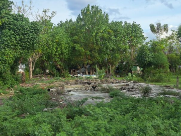TANAH DI PENYEBANGAN SINGARAJA GEROKGAK BULELENG