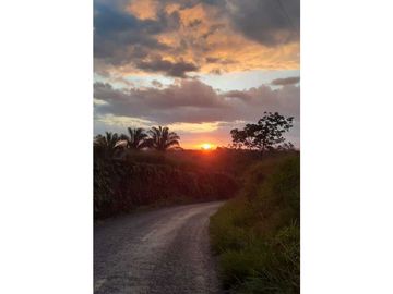 VENDO 90 HECTAREAS CON AGUA VIVA GUALACA