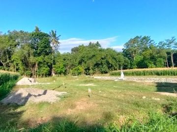 Jual Rumah Klasik Minimalis Termurah di Prambanan