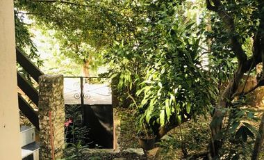 Furnished 7-Bedroom House and Lot for Sale in Cebu