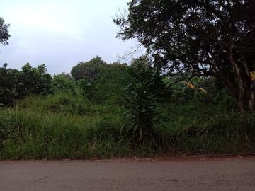 Jual Tanah Cileungsi Jonggol Kabupaten Bogor