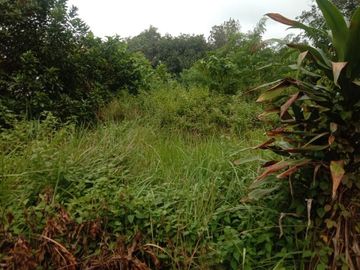 Jual Tanah Cileungsi Jonggol Kabupaten Bogor
