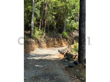 Venta de casa en entorno natural Altos de Huife
