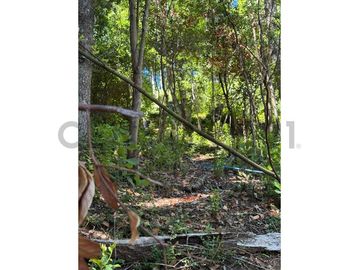 Venta de casa en entorno natural Altos de Huife