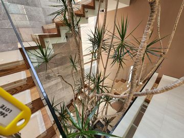 Casa en Venta en Club de Golf Altozano