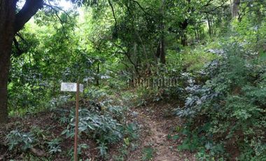FOR SALE: 1,035 SQM Farm Land in Antipolo