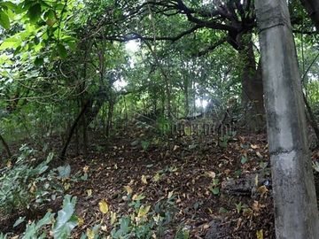 FOR SALE: 1,035 SQM Farm Land in Antipolo