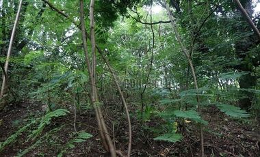 FOR SALE: 1,035 SQM Farm Land in Antipolo