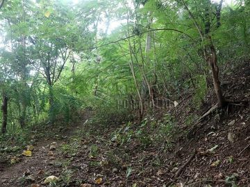 FOR SALE: 1,035 SQM Farm Land in Antipolo