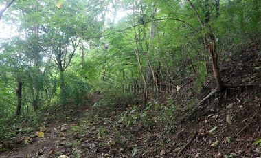 FOR SALE: 1,035 SQM Farm Land in Antipolo