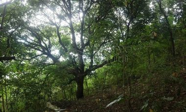FOR SALE: 1,035 SQM Farm Land in Antipolo