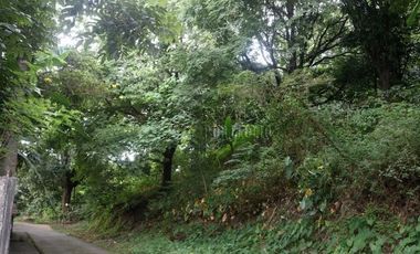 FOR SALE: 1,035 SQM Farm Land in Antipolo