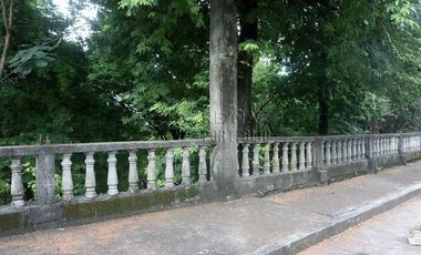 FOR SALE: 1,035 SQM Farm Land in Antipolo