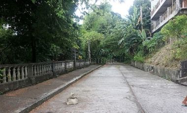 FOR SALE: 1,035 SQM Farm Land in Antipolo
