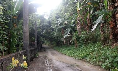 FOR SALE: 1,035 SQM Farm Land in Antipolo