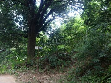 FOR SALE: 1,035 SQM Farm Land in Antipolo