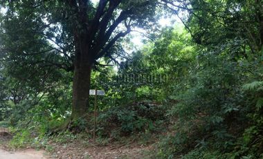FOR SALE: 1,035 SQM Farm Land in Antipolo
