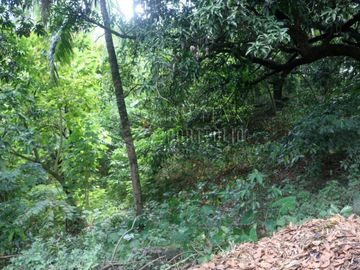 FOR SALE: 1,035 SQM Farm Land in Antipolo