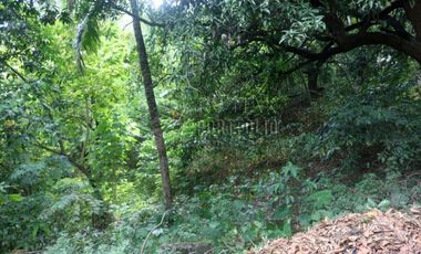 FOR SALE: 1,035 SQM Farm Land in Antipolo