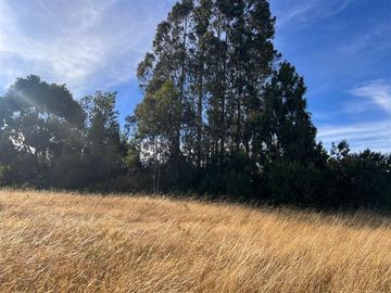 Parcela en venta en Llanquihue