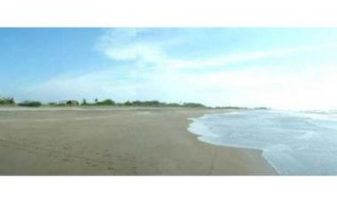 Beach Lot for Sale in Bauang, La Union (SOLD)