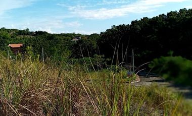 191 SQM CORNER Subdivision Lot for Sale in Greenville Heights Consolacion Cebu with Mountain view