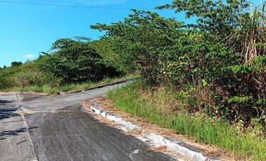 191 SQM CORNER Subdivision Lot for Sale in Greenville Heights Consolacion Cebu with Mountain view