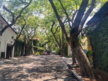 VENTA CASA UN NIVEL EN EXCLUSIVA Y SEÑORIAL PRIVADA EN PALMIRA