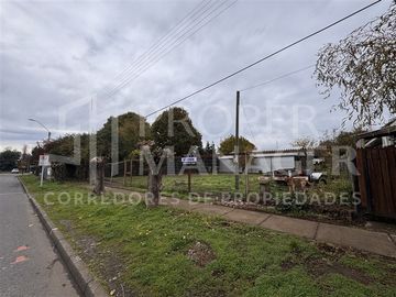 Sitio 952 m2 con Galpón 95 m2 - Ignacio Serrano, Pinto
