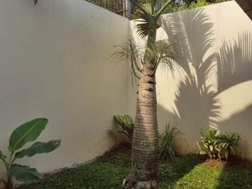Rumah Nyaman di Setiabudi Regency Dekat Geger Kalong Ledeng