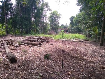 Dijual Rumah Mewah Konsep Klasik Jawa Luas Harga Terangkau di dekat Tol Prambanan