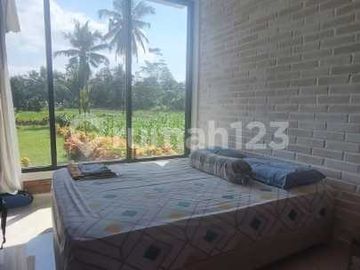 Rumah dan Tanah SHM Hadap Barat Semi Furnish di Sleman Yogyakarta