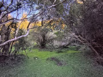 Parcela en VENTA Chonchi