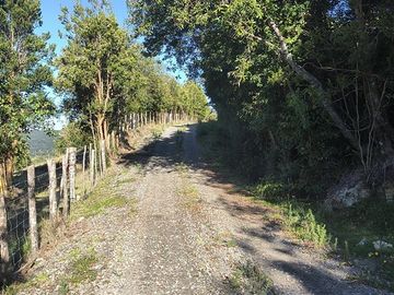 Parcela en VENTA Chonchi