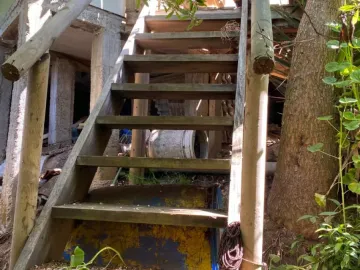 CASA DE 3 DORMITORIOS, CON GRAN PATIO Y ARBOLES NATIVOS