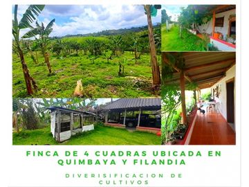 FINCA DE 4 CUADRAS EN QUIMBAYA 4861