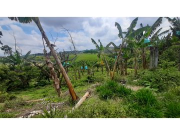 FINCA DE 4 CUADRAS EN QUIMBAYA 4861
