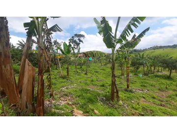 FINCA DE 4 CUADRAS EN QUIMBAYA 4861