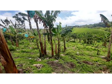 FINCA DE 4 CUADRAS EN QUIMBAYA 4861
