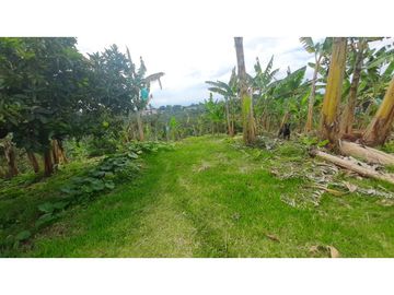 FINCA DE 4 CUADRAS EN QUIMBAYA 4861
