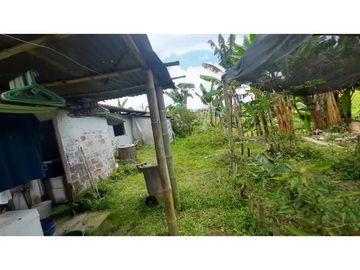 FINCA DE 4 CUADRAS EN QUIMBAYA 4861
