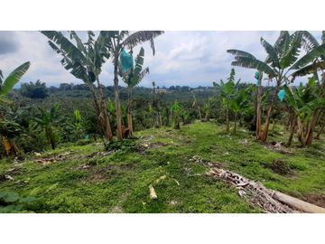 FINCA DE 4 CUADRAS EN QUIMBAYA 4861