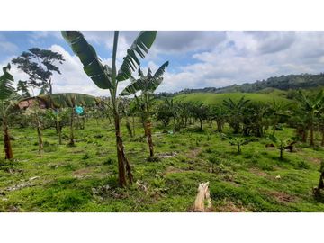 FINCA DE 4 CUADRAS EN QUIMBAYA 4861