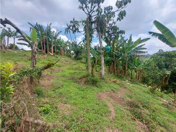 FINCA DE 4 CUADRAS EN QUIMBAYA 4861