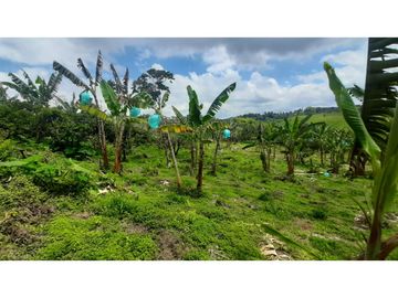 FINCA DE 4 CUADRAS EN QUIMBAYA 4861