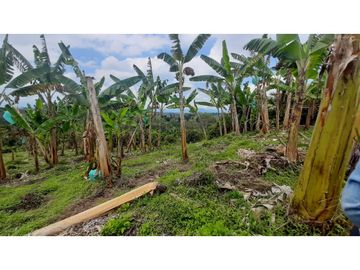 FINCA DE 4 CUADRAS EN QUIMBAYA 4861