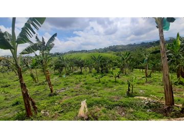 FINCA DE 4 CUADRAS EN QUIMBAYA 4861